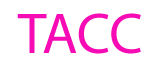 Team America Care Coordination Inc. logo